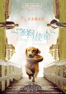 国产99福利视频在线