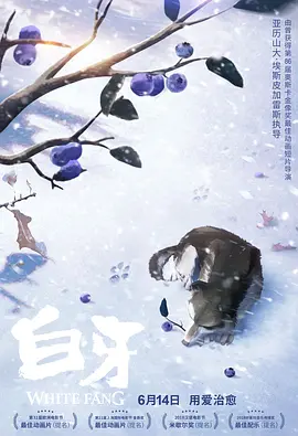 福利视频一区