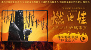大焦网